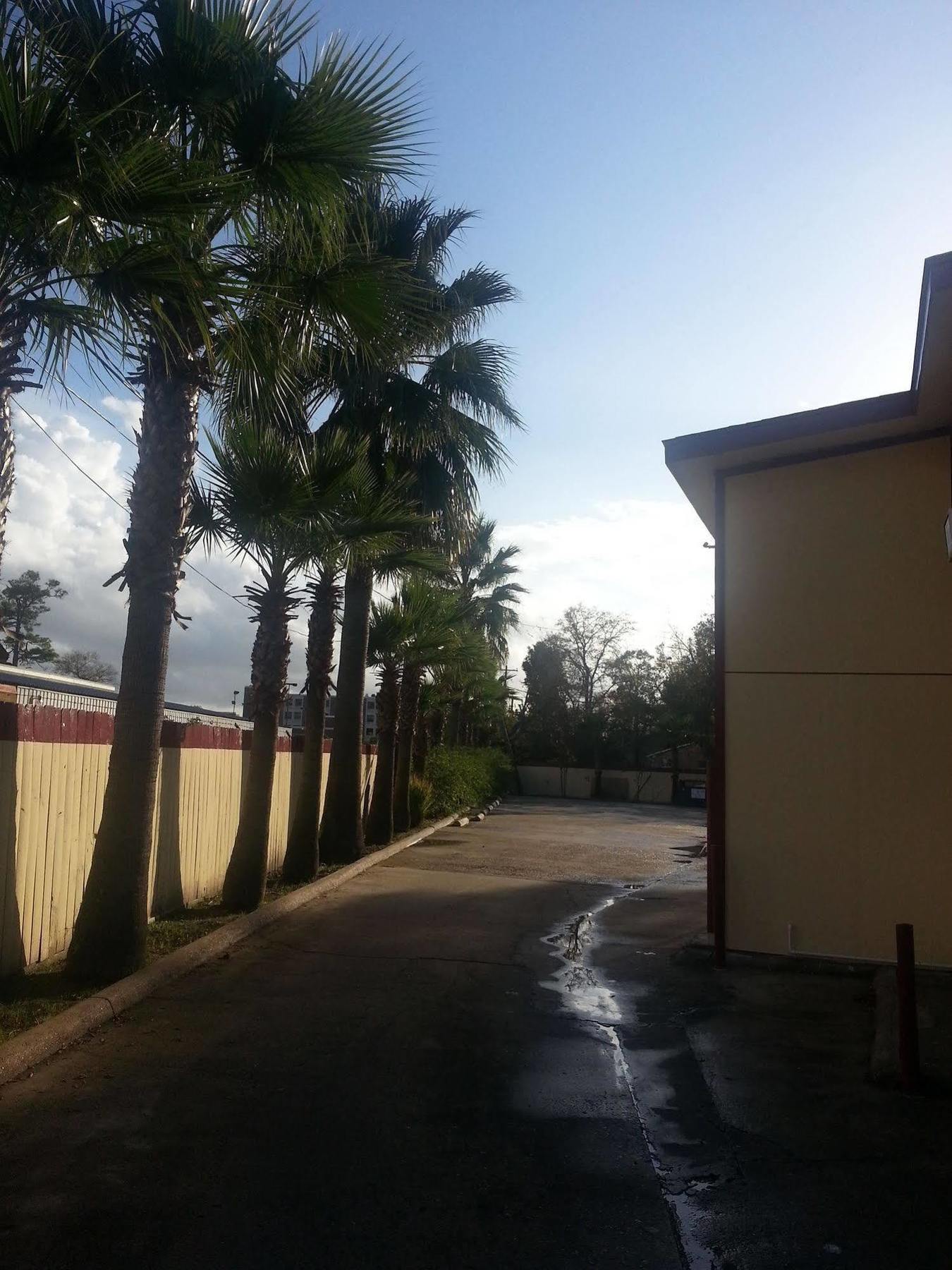 Southmore Motel Houston Esterno foto